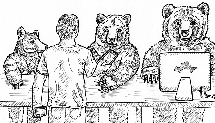 Illustration of three bears, one on desktop, one on tablet, one on mobile, all with own story