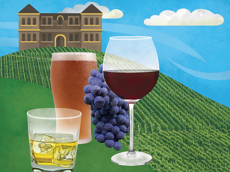 Illustrated infographic artwork and photography, wine, beer and liquor industry