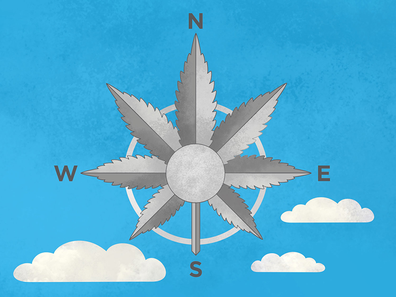 Infographic illustration artwork for Garvey Schubert Barer attorneys, Cannabis law firm