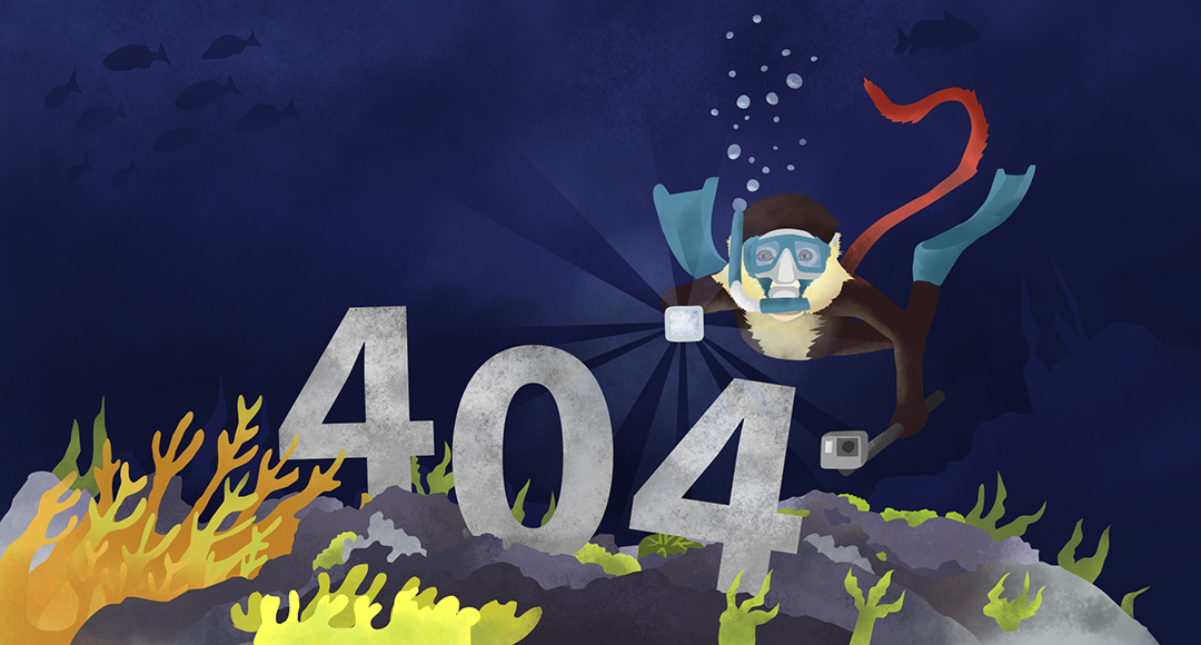 Illustration of monkey discovering 404 error